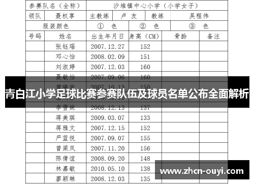 青白江小学足球比赛参赛队伍及球员名单公布全面解析