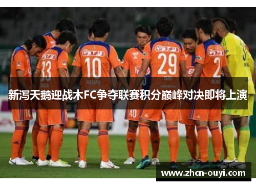 新泻天鹅迎战木FC争夺联赛积分巅峰对决即将上演