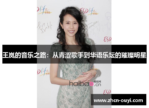 王岚的音乐之路：从青涩歌手到华语乐坛的璀璨明星